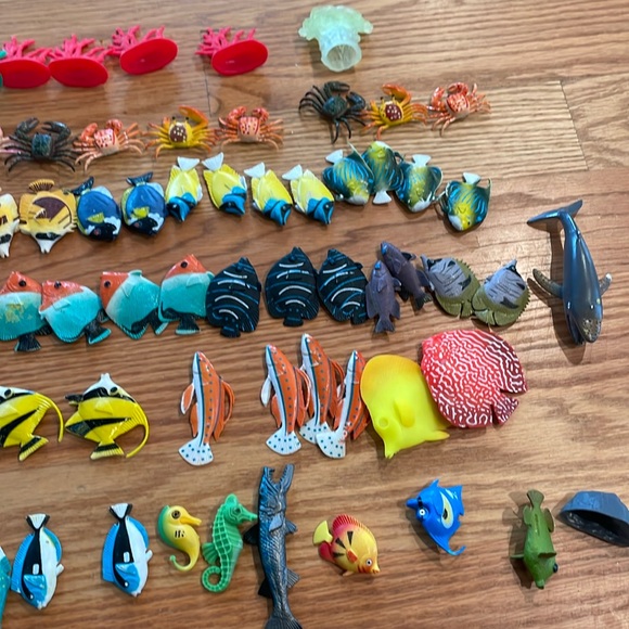 Lot of 100 ocean fish - Picture 6 of 7